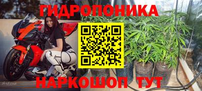 винт Можга