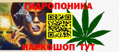 винт Можга