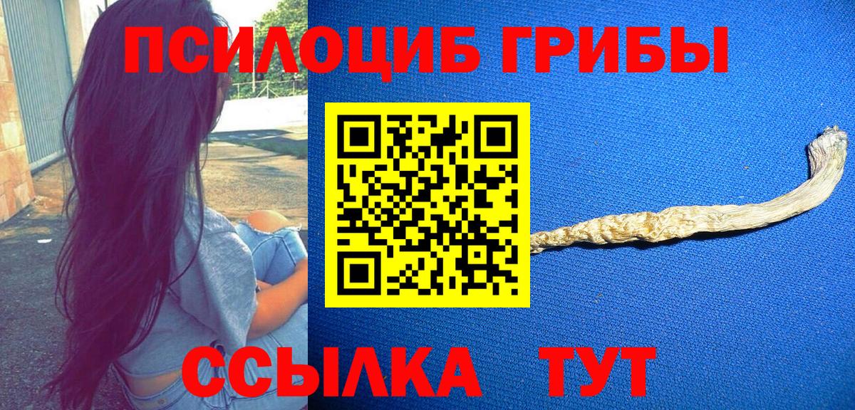 Иркутск  Галлюциногенные грибы Psilocybine cubensis  Вход с VPN 